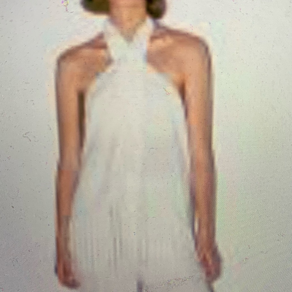 NWT Zara linen fringe halter top S